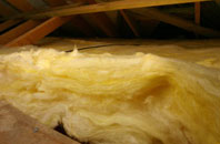 Wagg pitch roof insulation